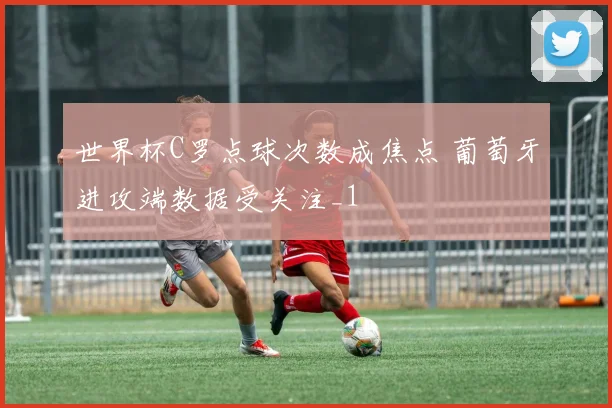 世界杯C罗点球次数成焦点 葡萄牙进攻端数据受关注_1