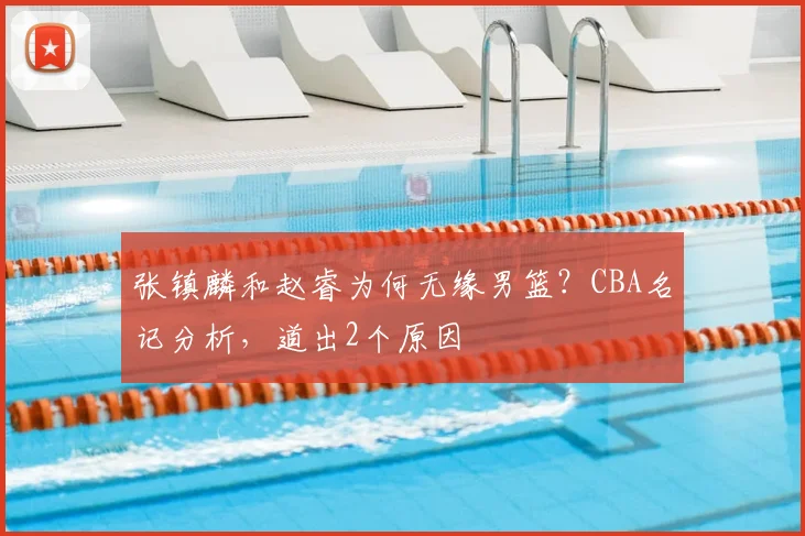 张镇麟和赵睿为何无缘男篮？CBA名记分析，道出2个原因