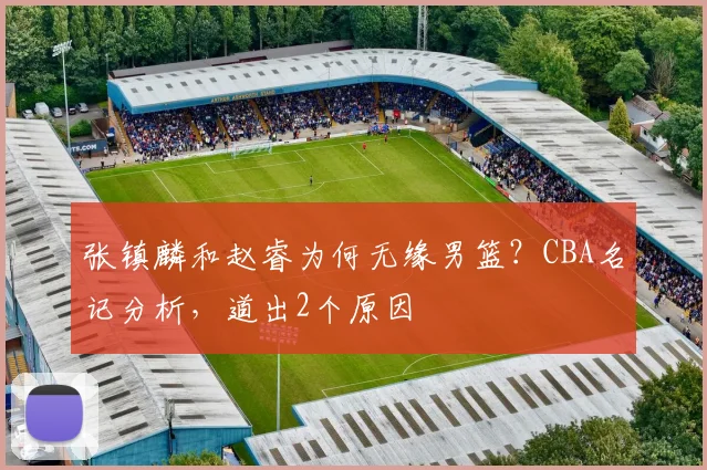 张镇麟和赵睿为何无缘男篮?CBA名记分析,道出2个原因