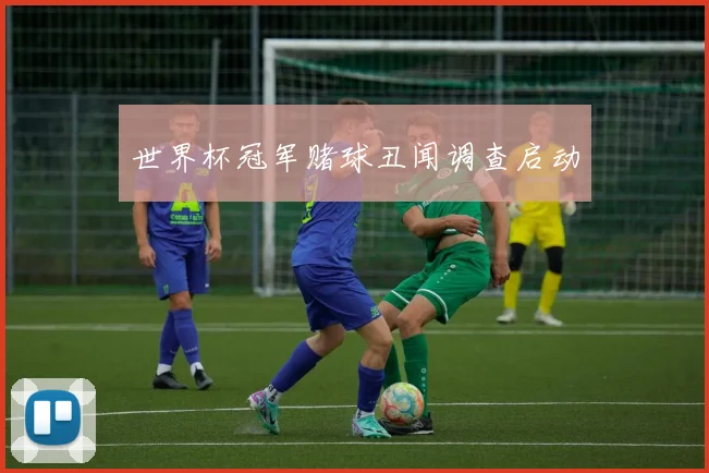 世界杯冠军赌球丑闻调查启动