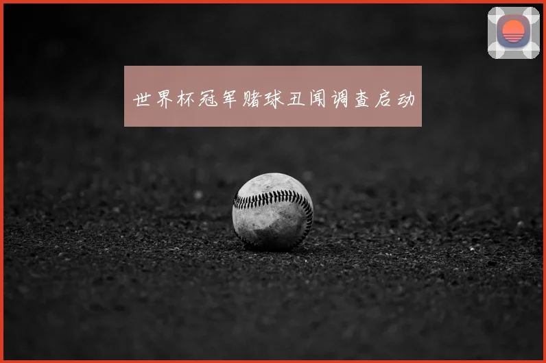 世界杯冠军赌球丑闻调查启动